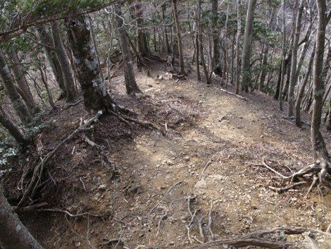 20190108hike (306)